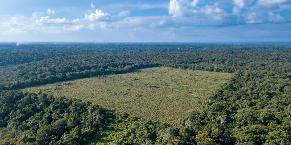 Erste Schritte zum Waldschutz Welthaus Graz